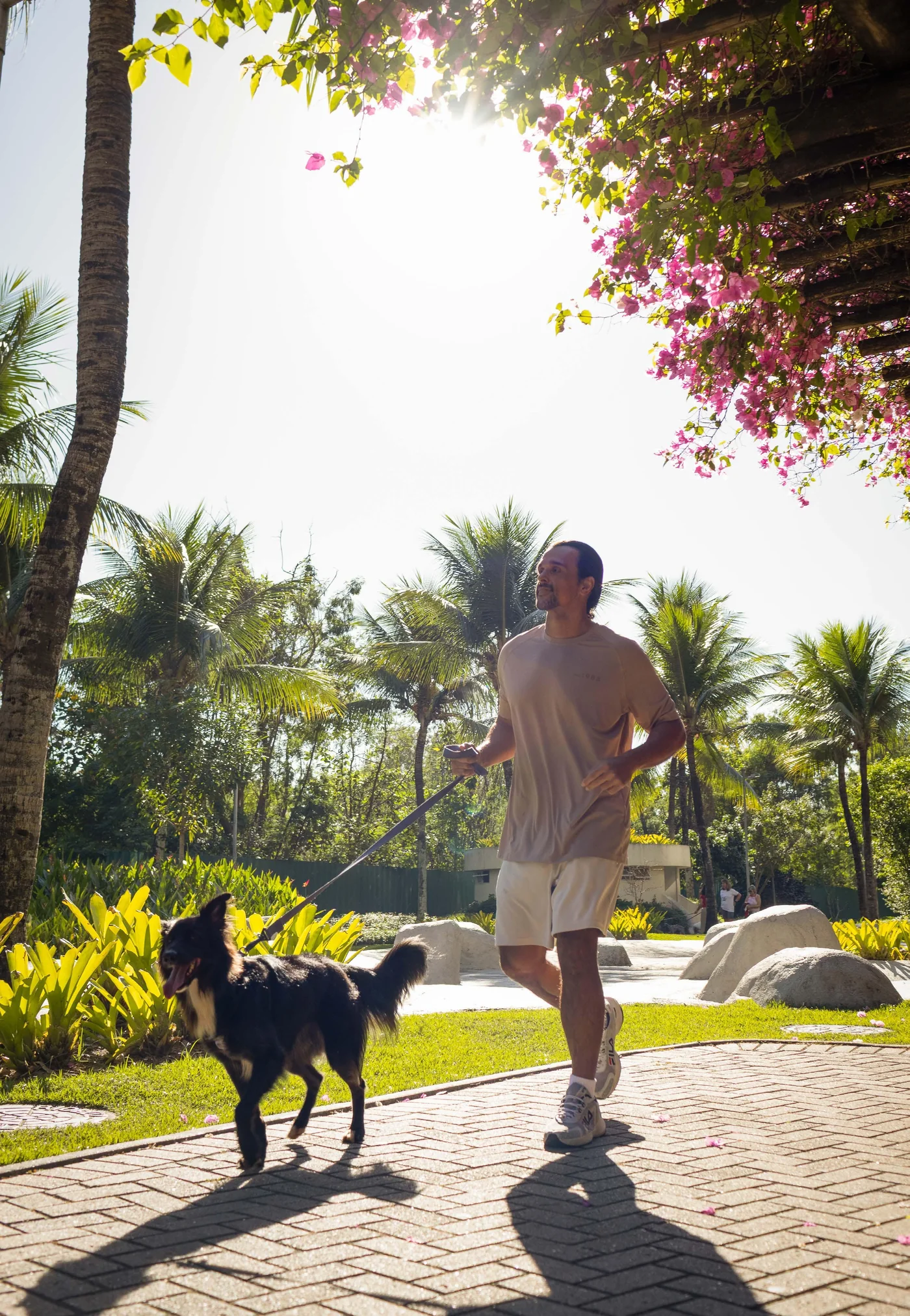 Spa Wellness On Resort